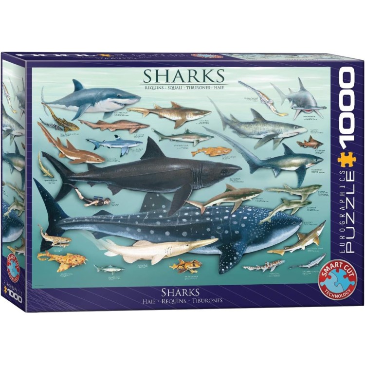 Eurographics Sharks 1000pc Puzzle