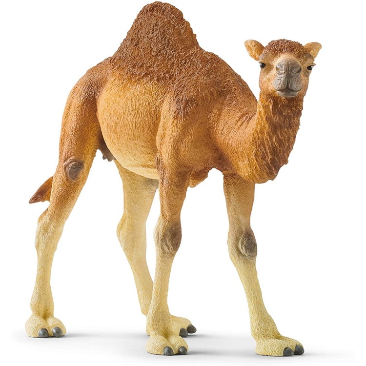 Schleich Dromedary Camel