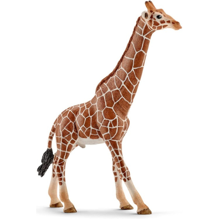 Schleich Giraffe Male