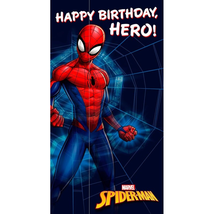 Spiderman Happy Birthday Hero Card